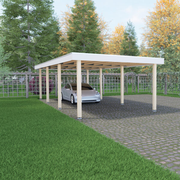 NDX - Carport 40 x 100 - Standard_edited Carport 4 x 10,0 m.